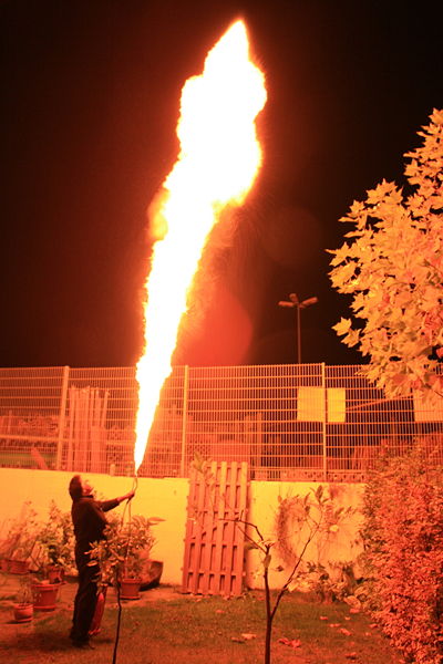 Name:  flamethrower2.jpg
Views: 505
Size:  52.7 KB