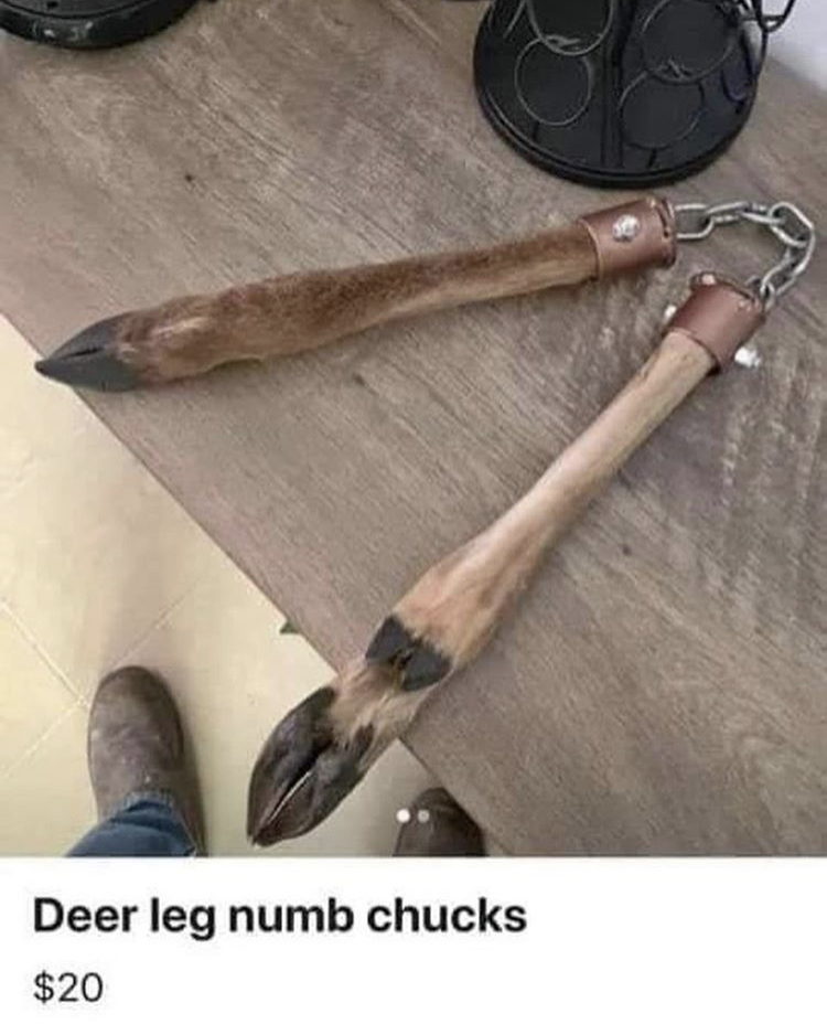 Name:  DEER.jpeg
Views: 2020
Size:  404.7 KB