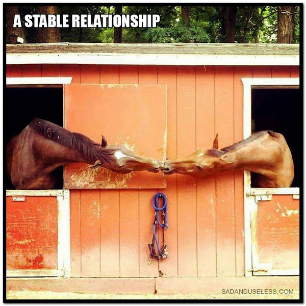 Name:  Stable..jpg
Views: 1143
Size:  117.4 KB