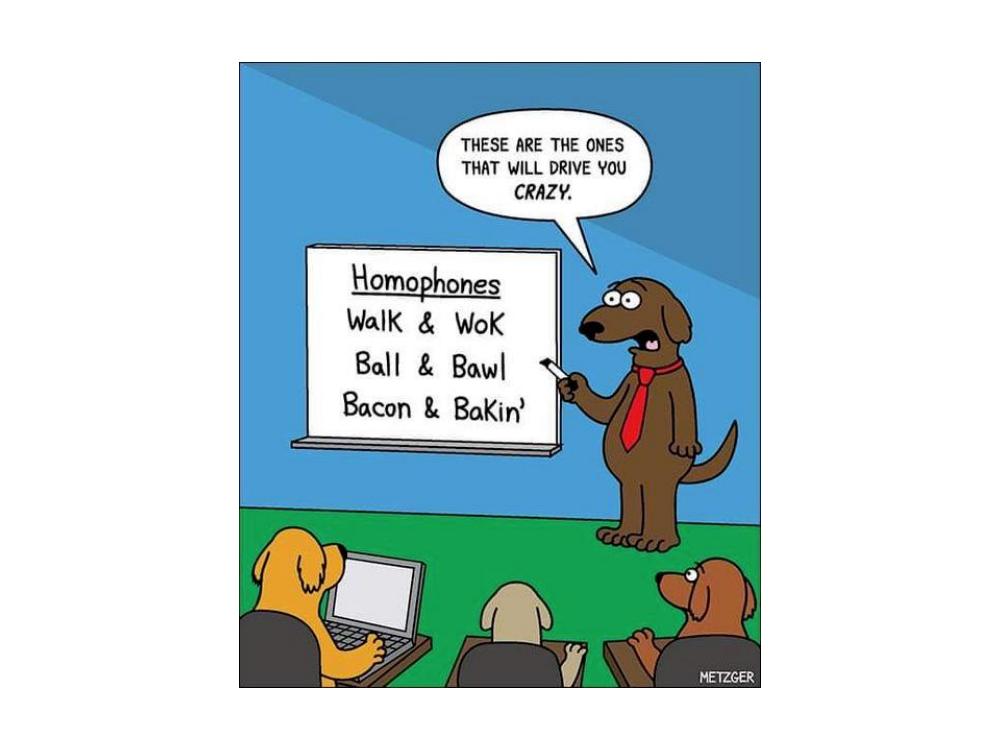 Name:  Homophones..jpg
Views: 1159
Size:  51.2 KB