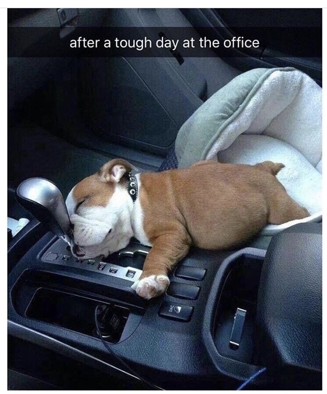 Name:  Tough Day..jpg
Views: 1406
Size:  181.9 KB