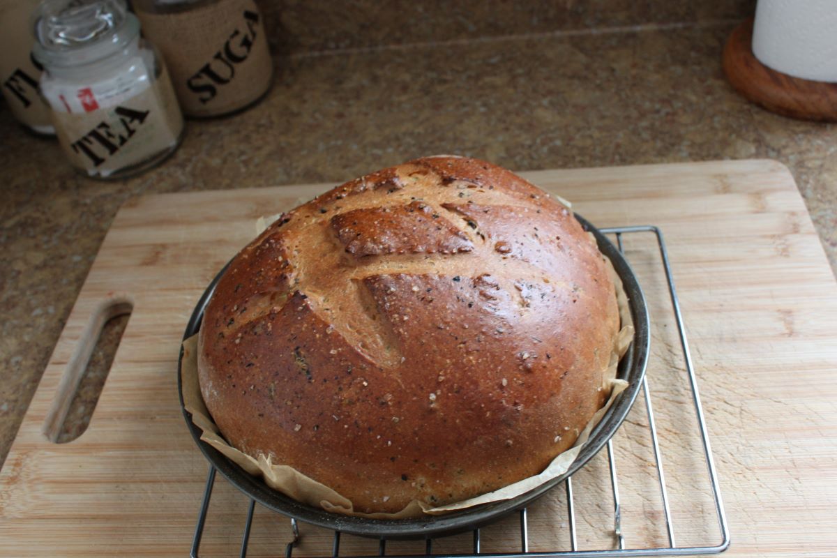 Name:  Olive bread 3.JPG
Views: 4291
Size:  130.0 KB