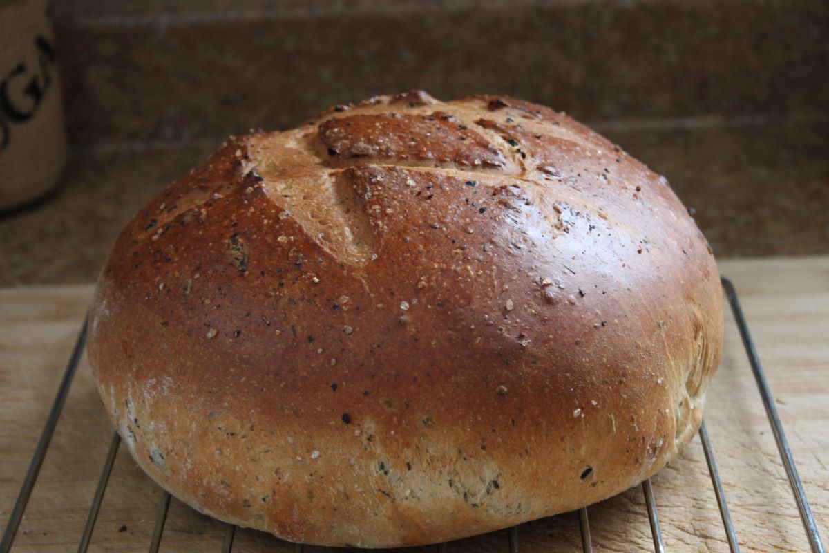 Name:  Olive bread 2.JPG
Views: 4269
Size:  118.8 KB