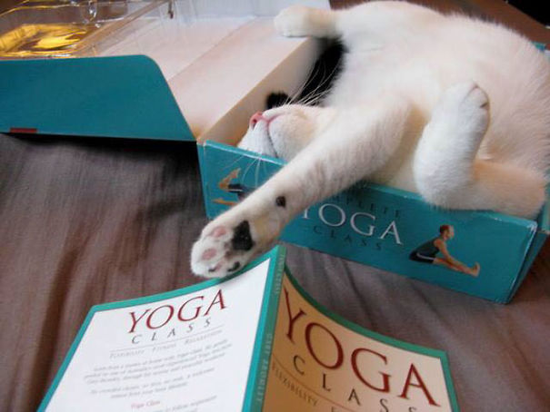 Name:  Yoga.jpg
Views: 1486
Size:  46.2 KB