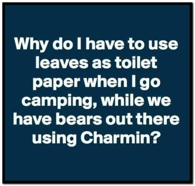 Name:  Charmin (1).jpg
Views: 1477
Size:  74.6 KB