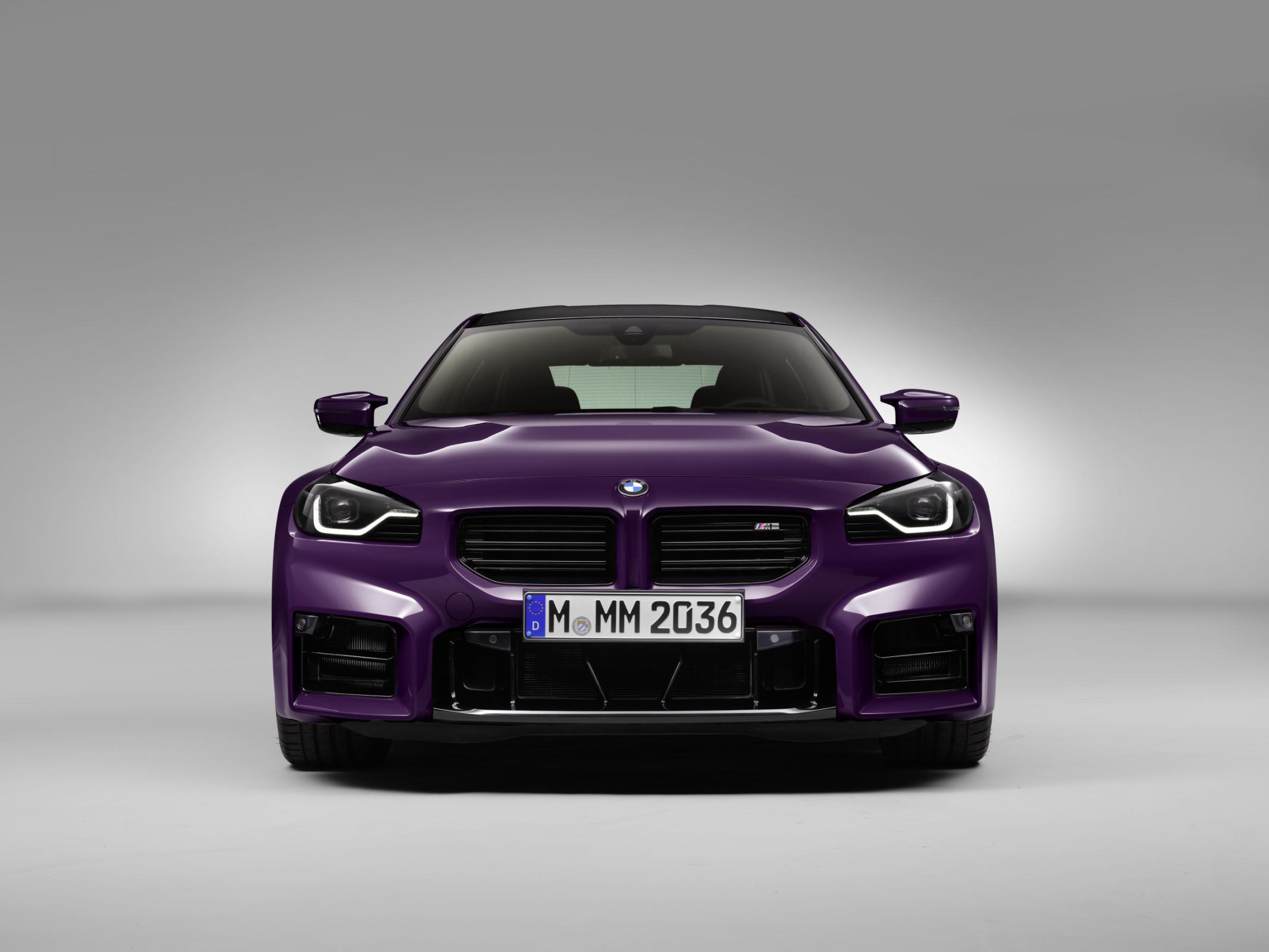 Name:  front_purple1.jpg
Views: 13194
Size:  140.8 KB