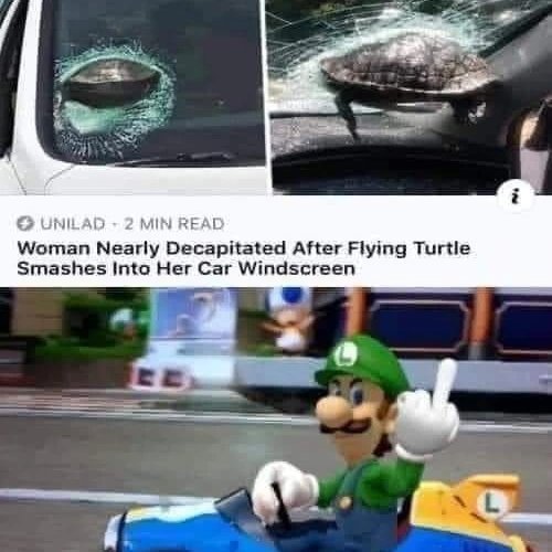 Name:  luigi.jpg
Views: 1451
Size:  45.5 KB