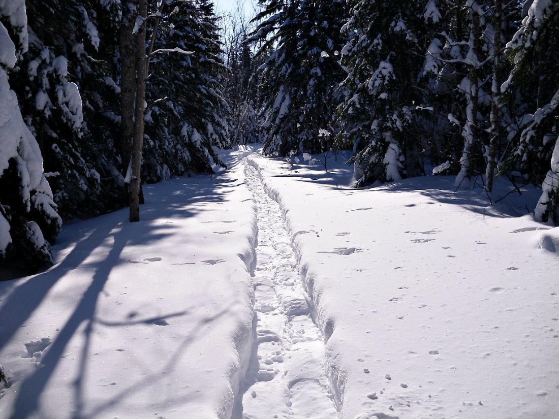 Name:  Snowshoes..JPG
Views: 458
Size:  179.0 KB