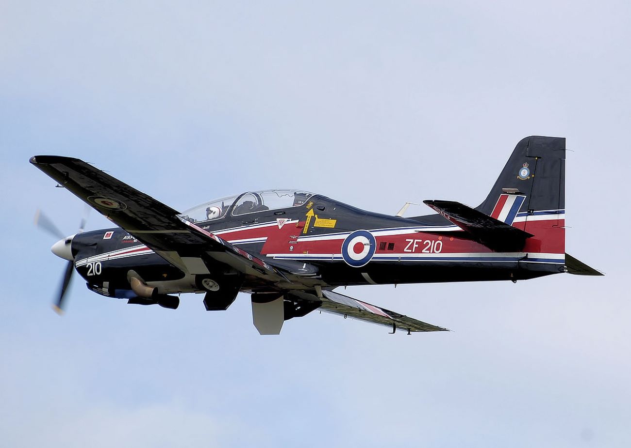 Name:  Short Tucano.jpg
Views: 393
Size:  82.0 KB