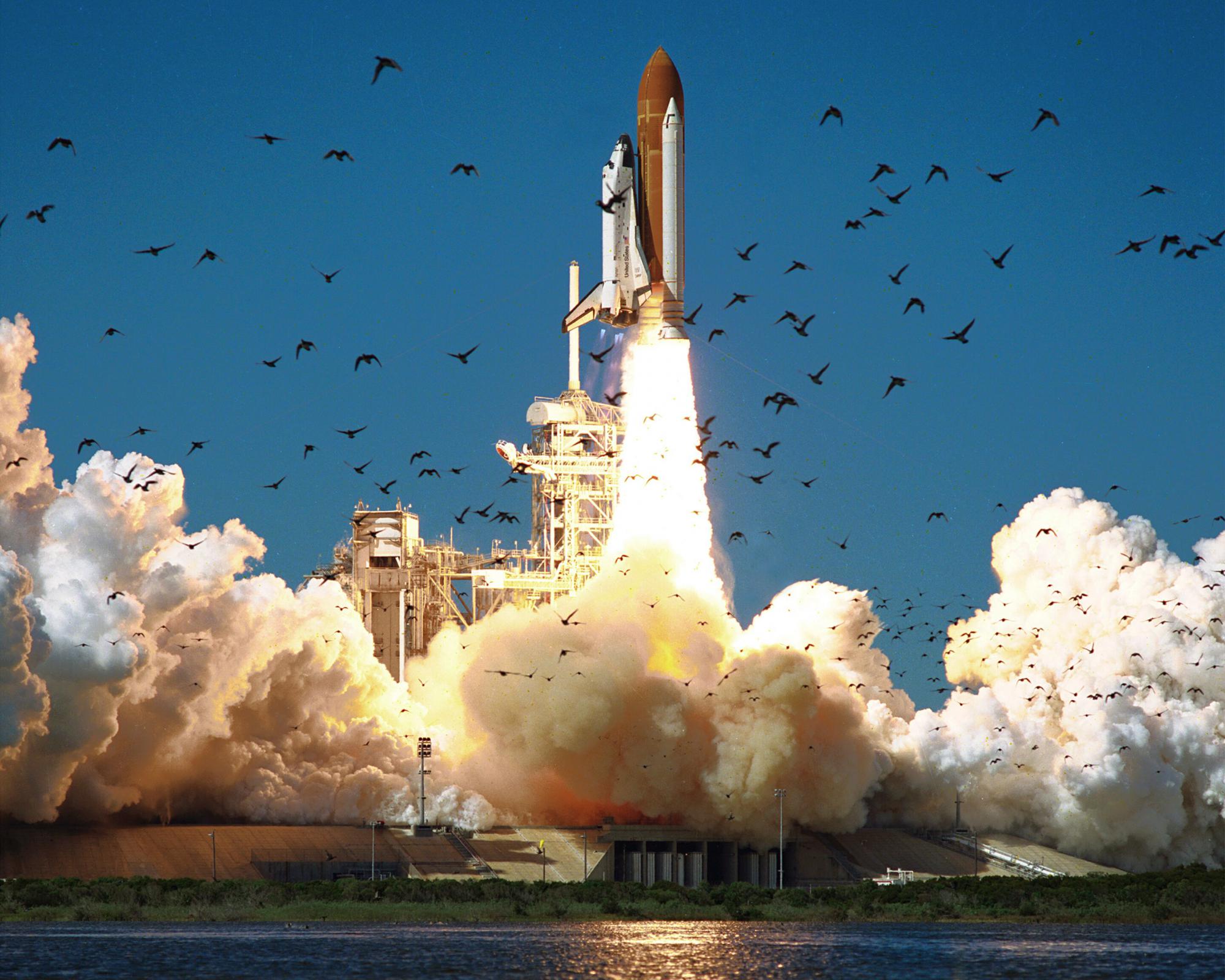 Name:  STS-51-L.jpg
Views: 2389
Size:  314.5 KB