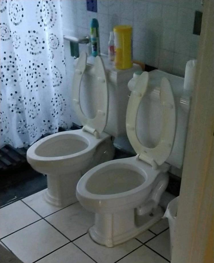 Name:  Toilet.jpg
Views: 1162
Size:  112.4 KB