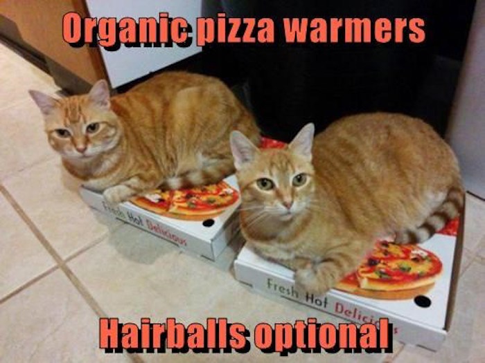 Name:  hairballs-not-optional-if-you-dont-share.jpeg
Views: 1236
Size:  77.8 KB