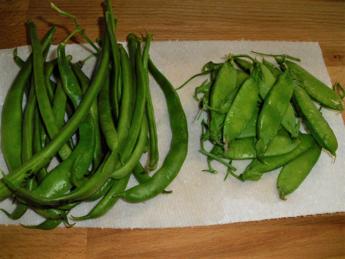 Name:  Beans and peas..JPG
Views: 438
Size:  220.7 KB