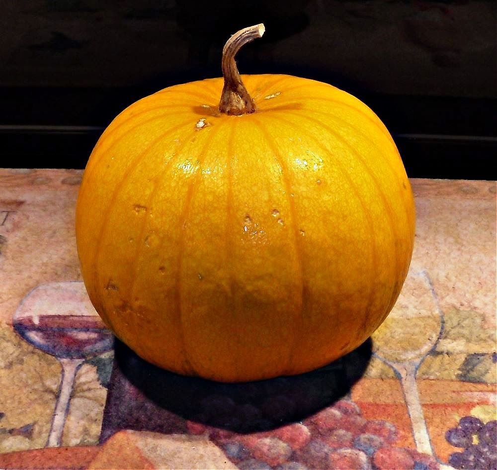 Name:  Pumpkin..jpg
Views: 1158
Size:  121.4 KB