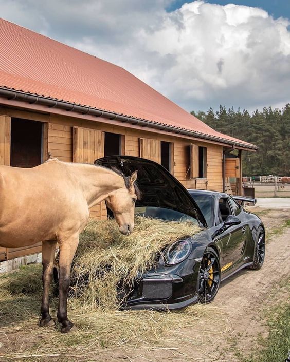 Name:  Horsepower.jpg
Views: 646
Size:  93.9 KB