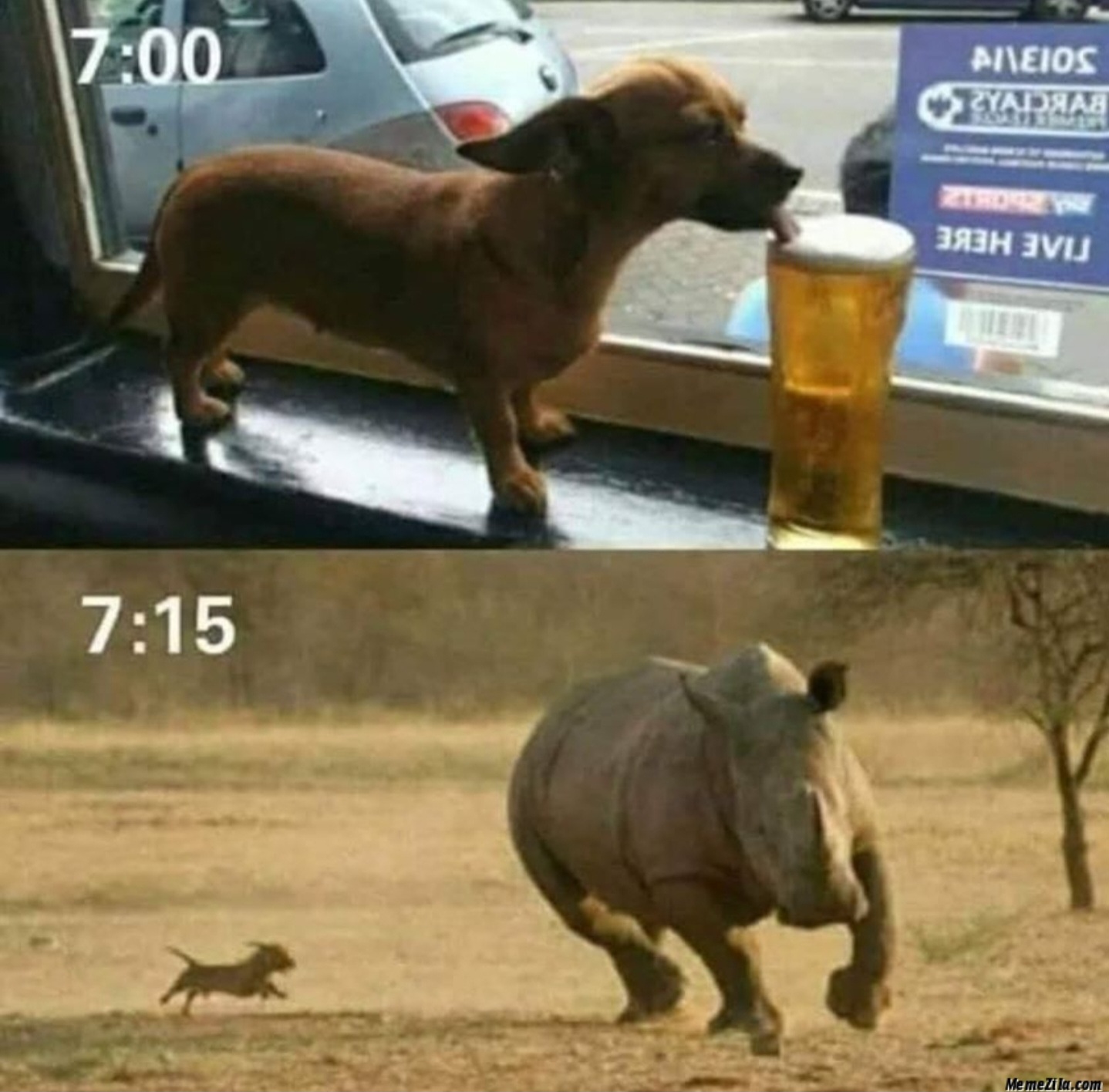 Name:  Drunk_Dog.jpg
Views: 685
Size:  320.9 KB