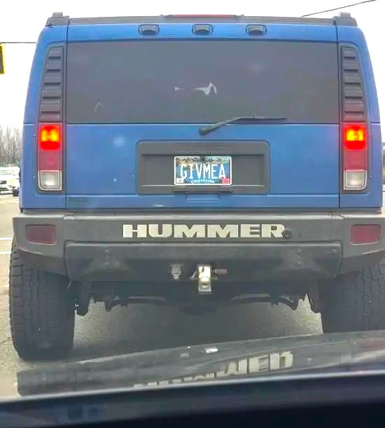 Name:  Hummer..jpg
Views: 998
Size:  54.6 KB