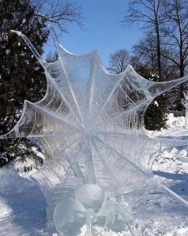 Name:  Frozen web..jpg
Views: 464
Size:  157.1 KB