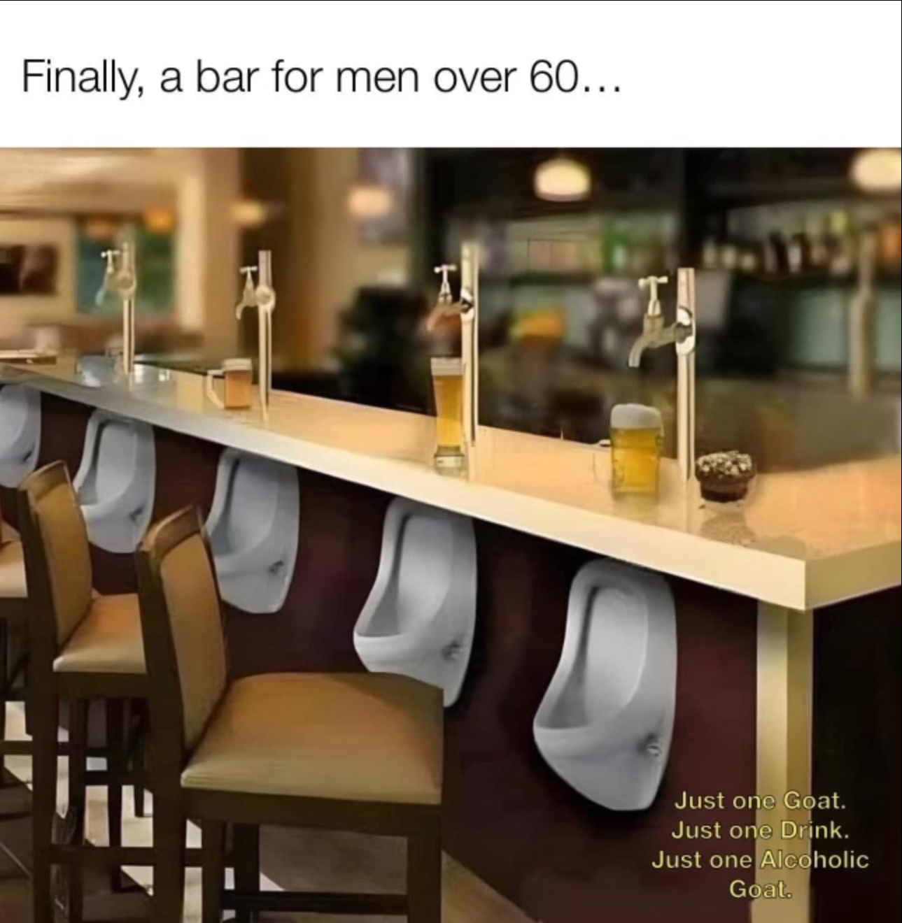 Name:  bar-urinals.jpg
Views: 842
Size:  848.4 KB