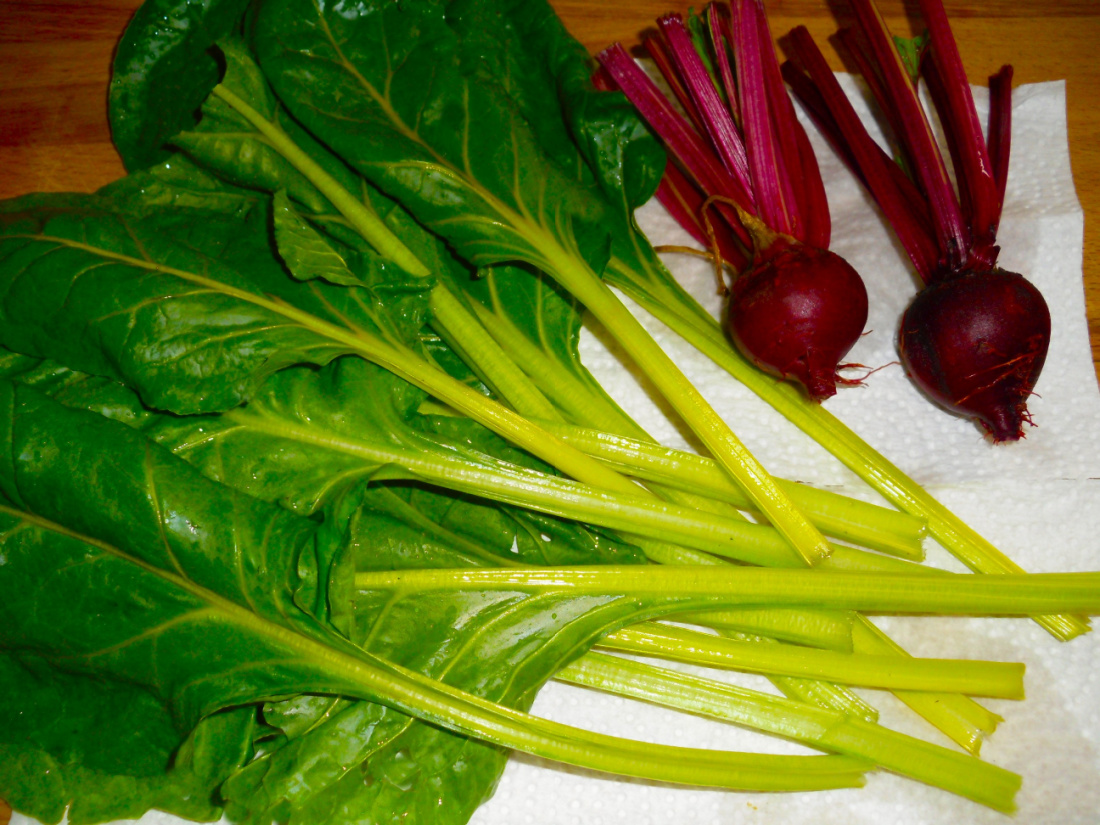 Name:  Chard and beets..jpg
Views: 256
Size:  432.9 KB