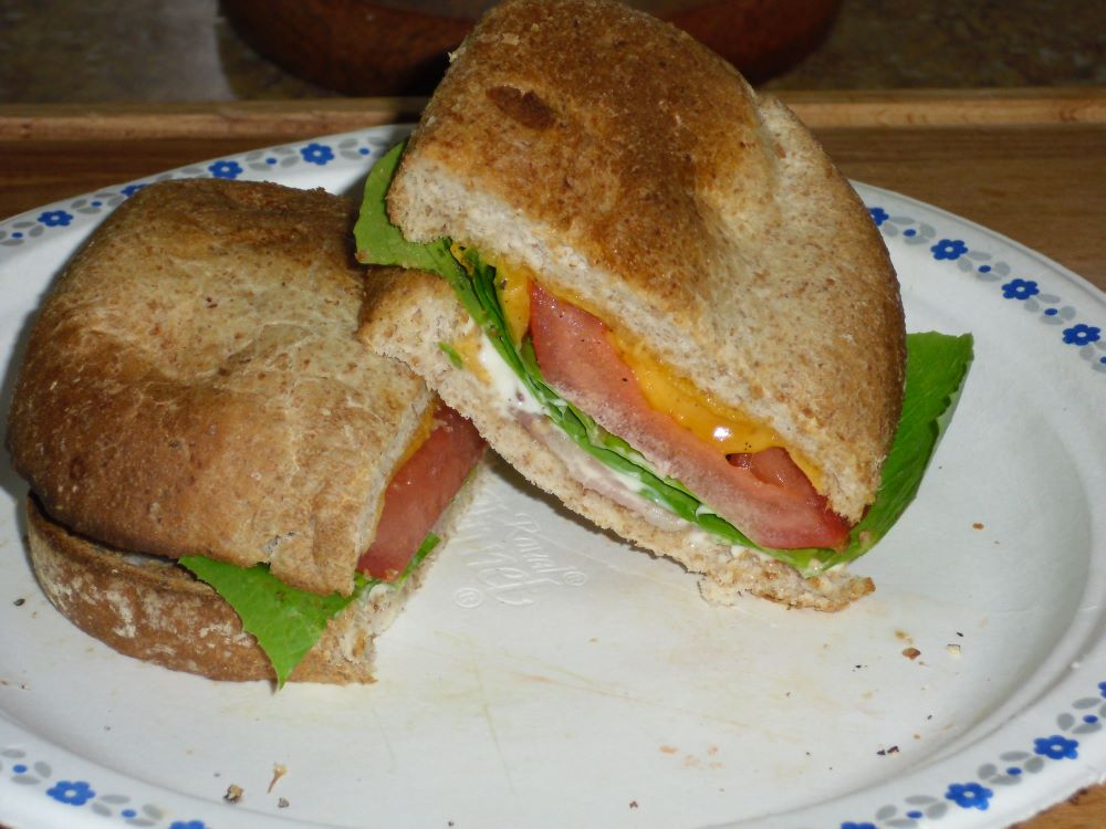 Name:  BLT.jpg
Views: 306
Size:  101.4 KB