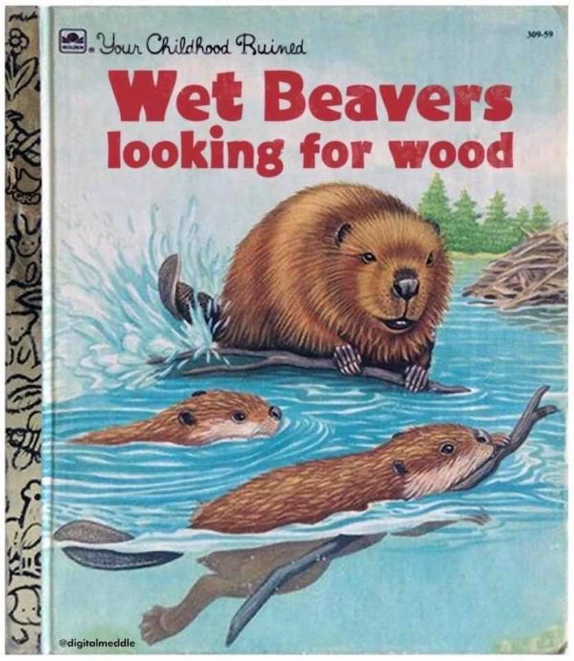 Name:  Wet_Beavers.jpg
Views: 708
Size:  85.4 KB