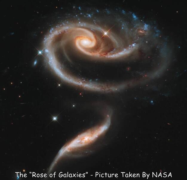 Name:  Rose of galaxies..jpg
Views: 1671
Size:  23.8 KB