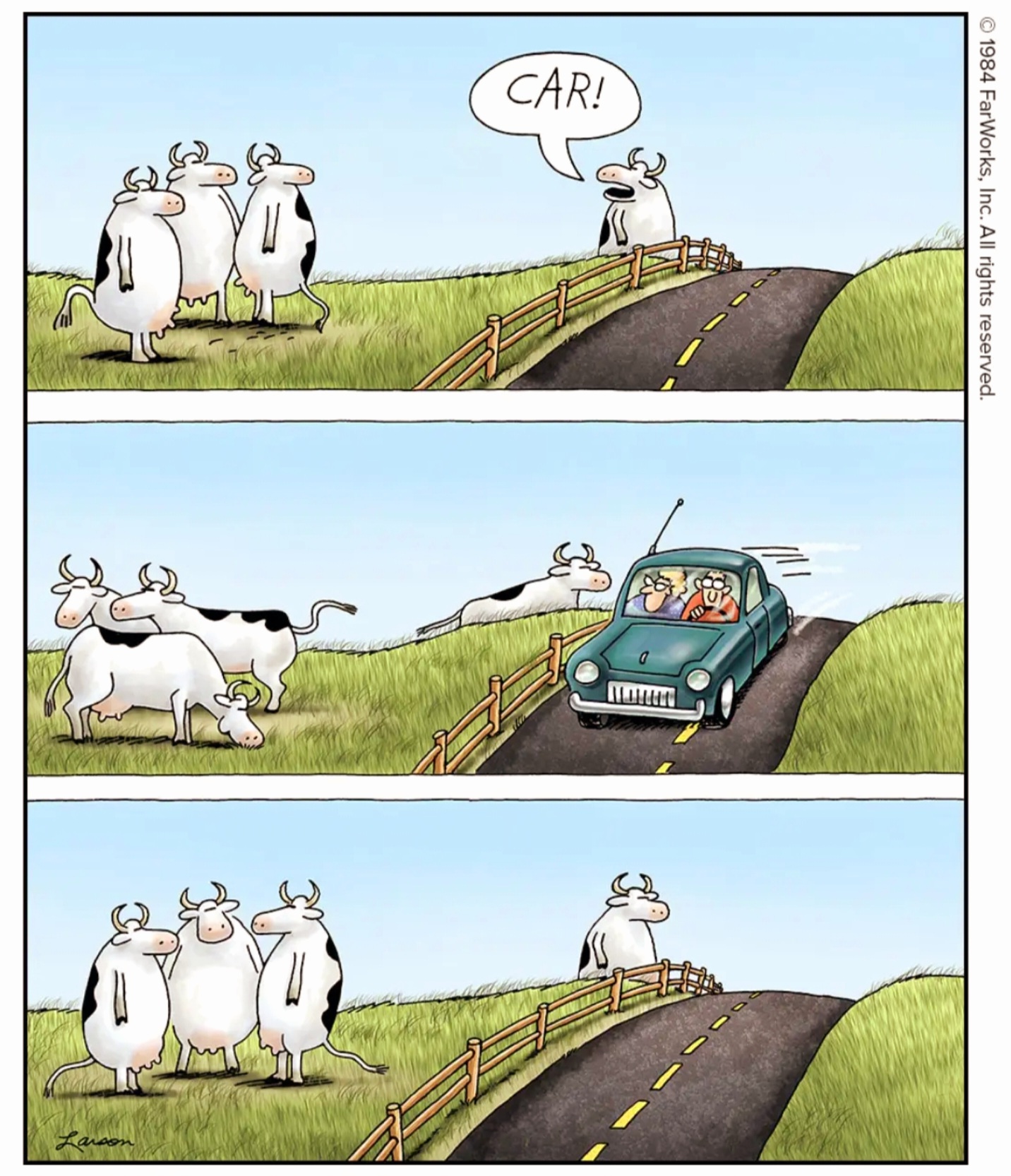 Name:  Cows_Car.jpg
Views: 833
Size:  499.5 KB