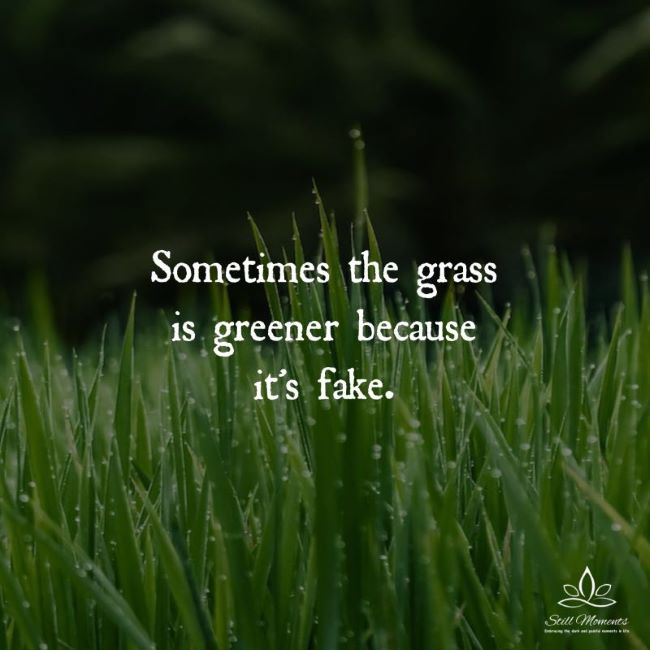 Name:  fakegrass.jpg
Views: 272
Size:  47.5 KB