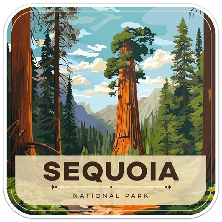 Name:  181-20240930_084400-Sequoia(5).jpg
Views: 346
Size:  171.4 KB