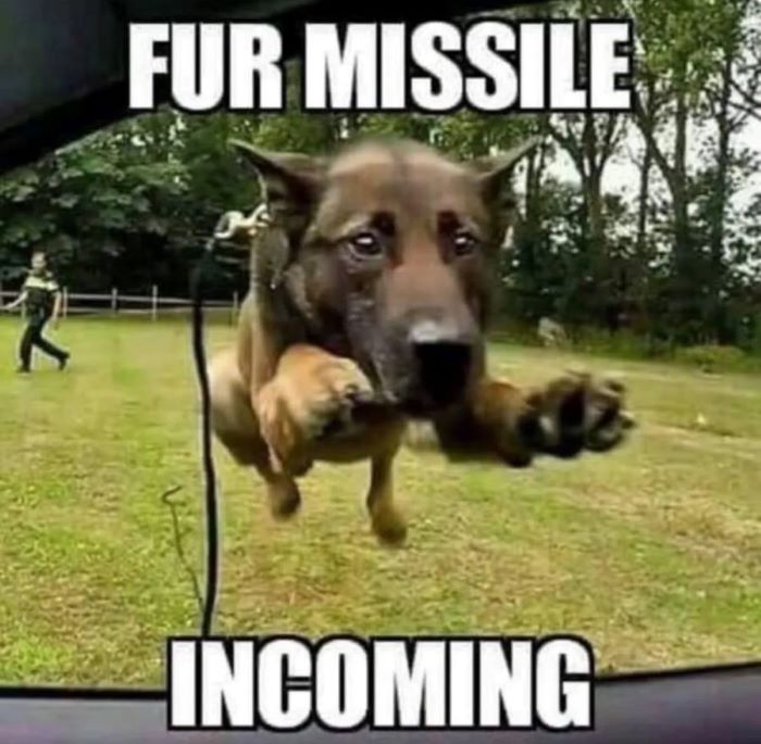 Name:  fur-missile-incoming.jpg
Views: 16
Size:  71.4 KB