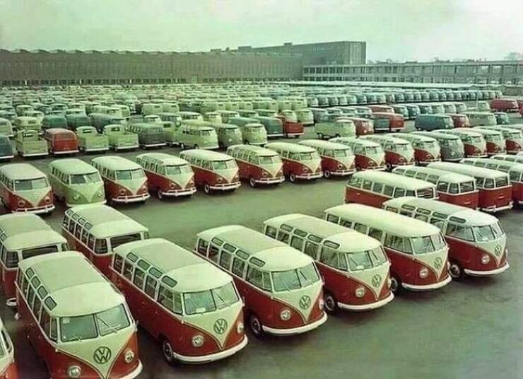 Name:  Vw Buses On The Factory Lot, 1960s.jpg
Views: 218
Size:  128.3 KB