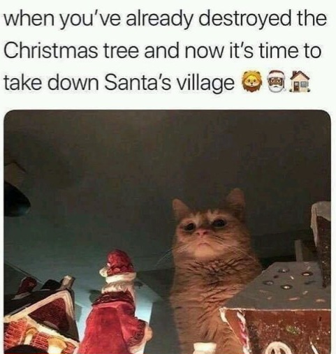 Name:  Cat_Christmas.jpg
Views: 205
Size:  77.1 KB