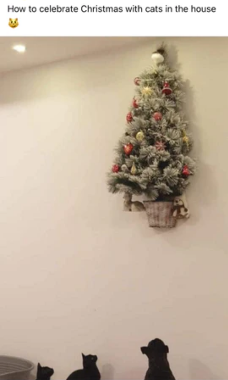 Name:  Cats_XMasTree.png
Views: 334
Size:  352.0 KB