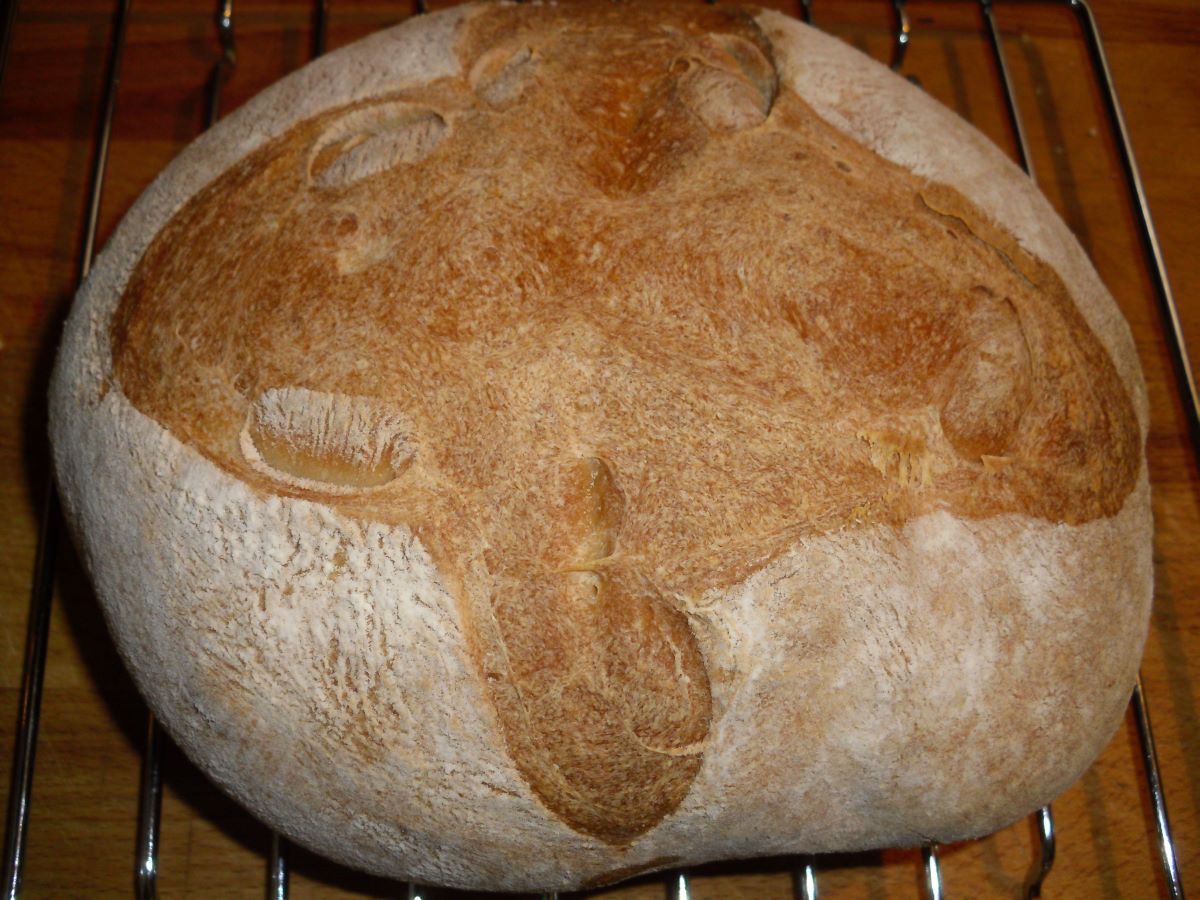 Name:  Bread 2.JPG
Views: 99
Size:  178.0 KB