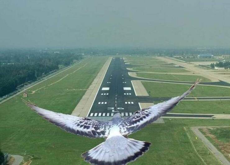 Name:  Landing.jpg
Views: 64
Size:  38.3 KB