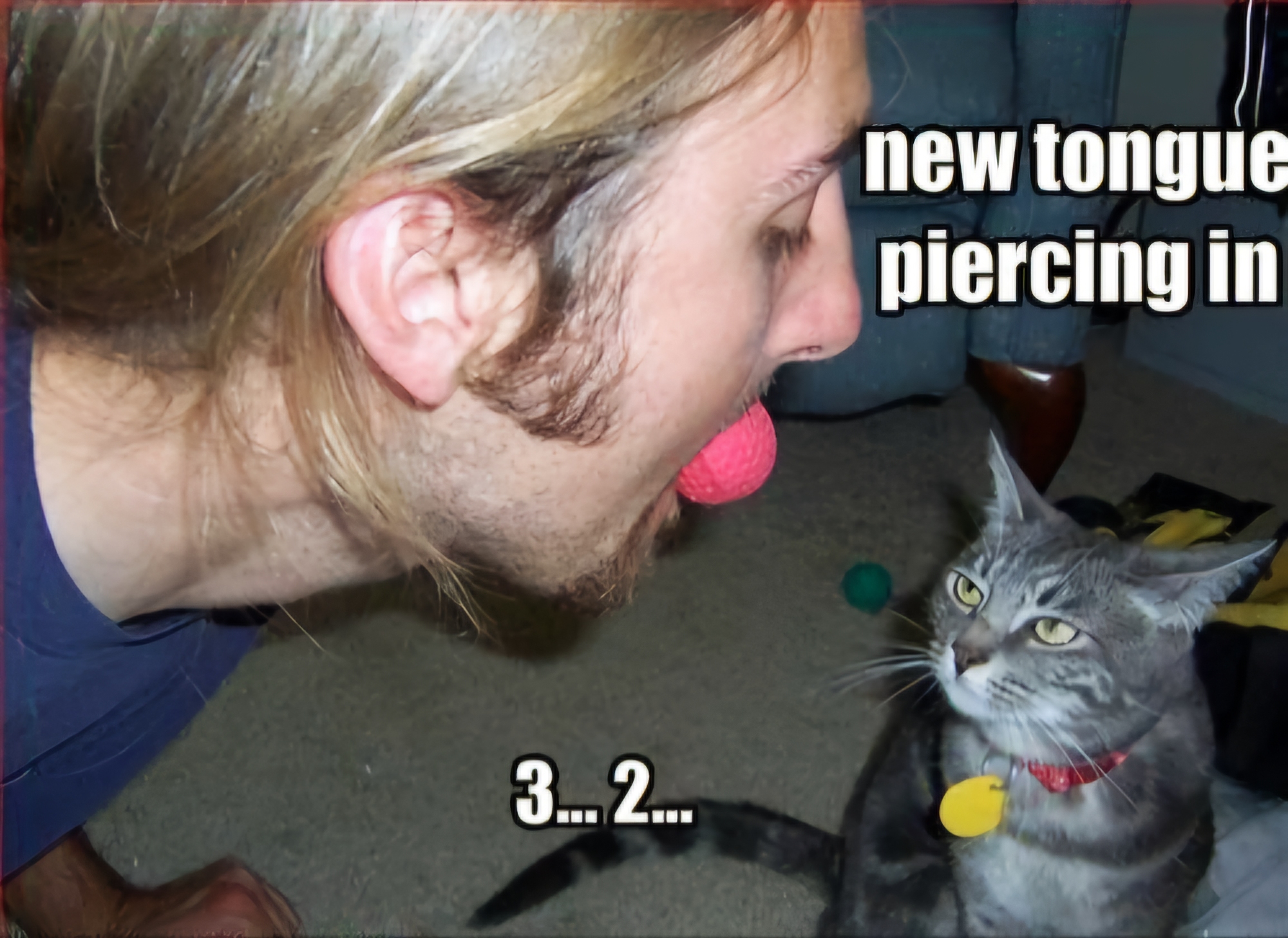 Name:  New_Tongue_Piercing.jpg
Views: 159
Size:  1.06 MB