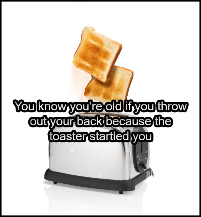 Name:  Toaster (1).jpg
Views: 6
Size:  98.7 KB