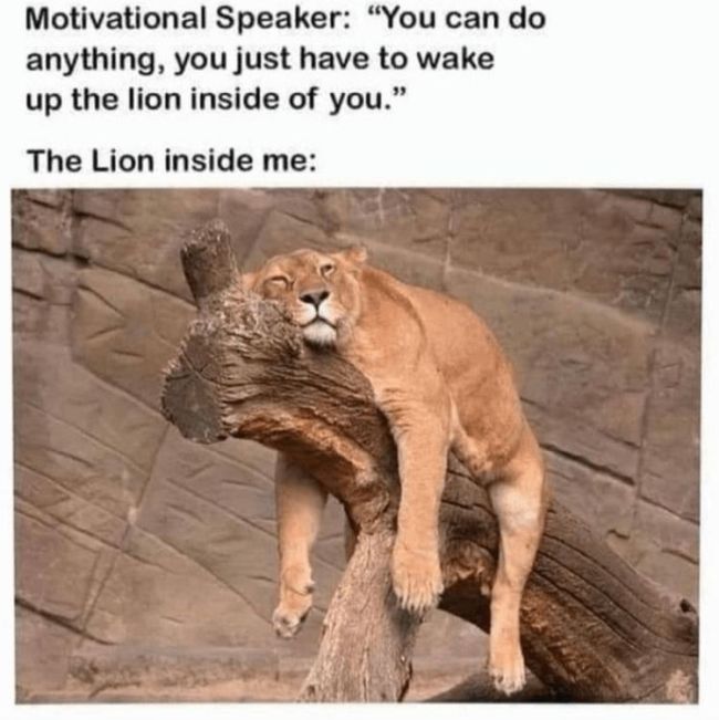 Name:  Lion_Motivation.jpg
Views: 284
Size:  58.0 KB