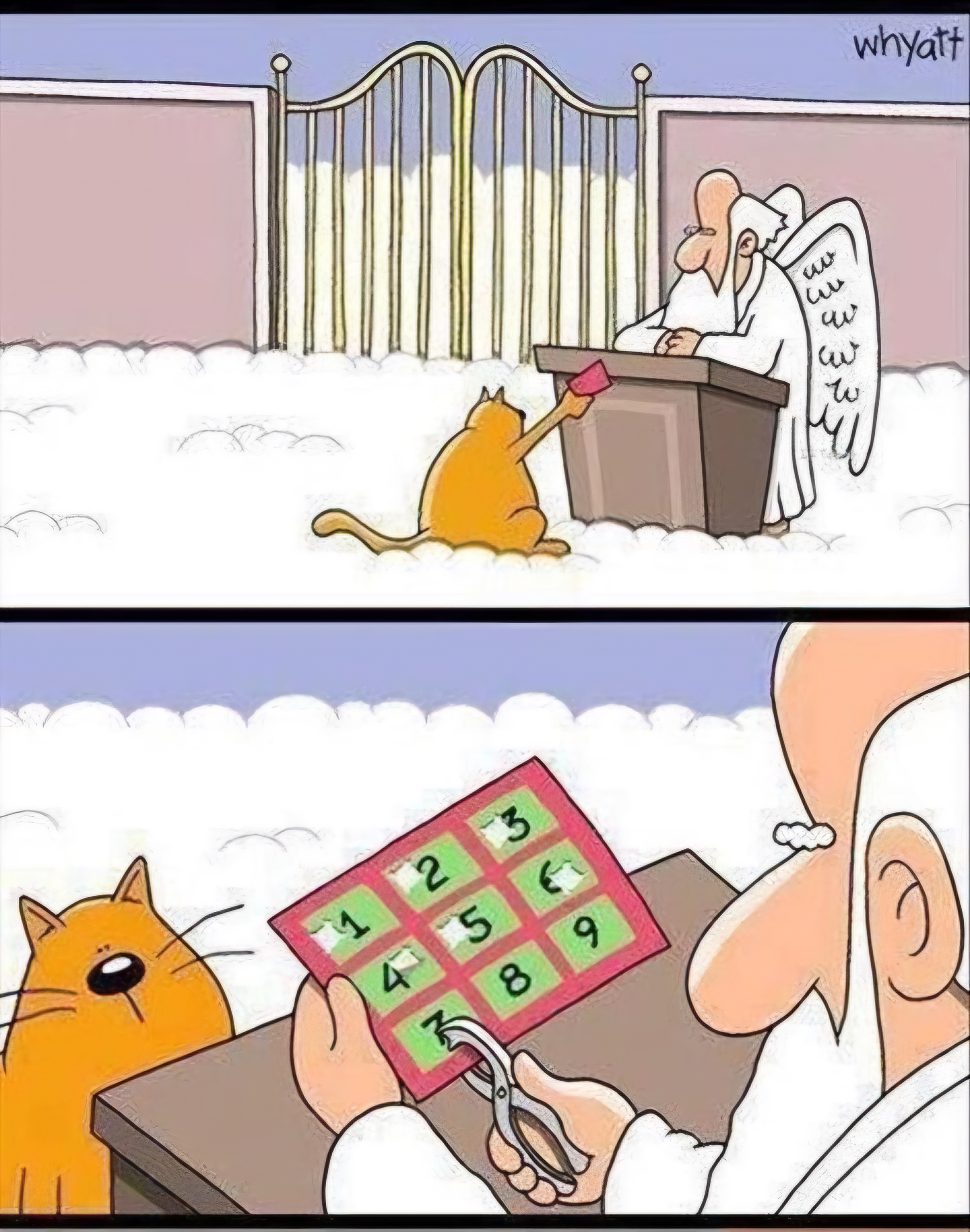 Name:  Cat_Heaven.jpeg
Views: 312
Size:  1.00 MB