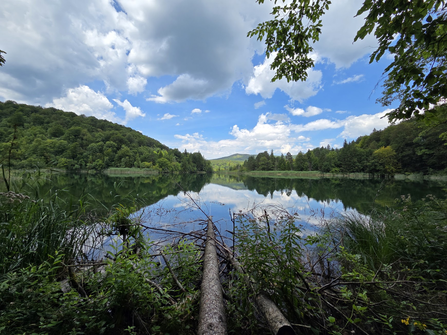 Name:  8-3.jpg
Views: 605
Size:  728.9 KB