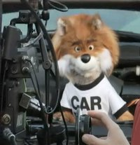 Name:  car fox.bmp
Views: 877
Size:  121.3 KB