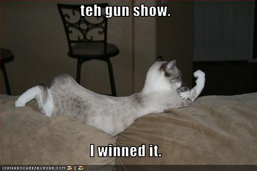 Name:  funny-pictures-cat-won-gun-show.jpg
Views: 3417
Size:  20.7 KB