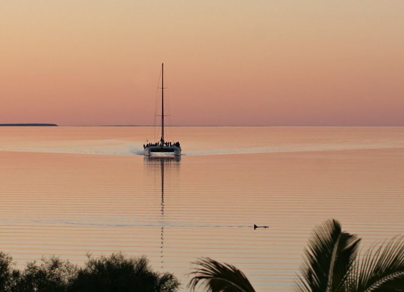 Name:  vachss- End of a Shark Bay Day.jpg
Views: 1272
Size:  47.1 KB