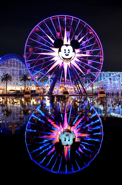 Name:  Mickey upright Reflection.JPG
Views: 1218
Size:  281.0 KB