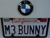 bunny's Avatar